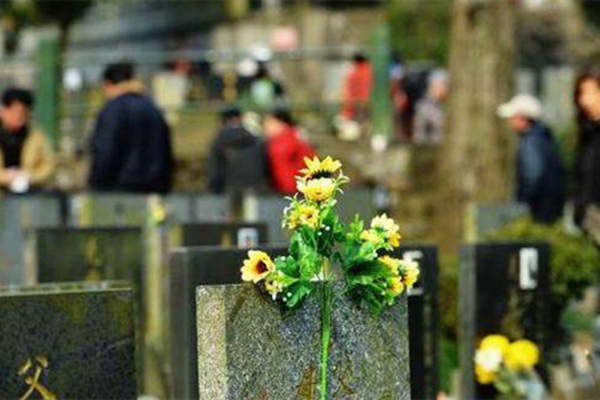 沈阳公墓网针对社会老龄化严重问题，响应殡葬改革