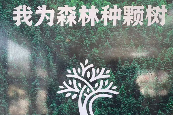 沈阳公墓大全：我为森林种颗树！