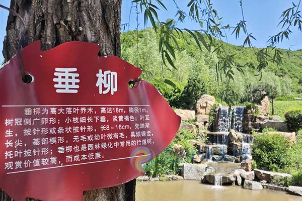 沈阳树葬墓园：绿色葬礼，生命共融的自然颂歌