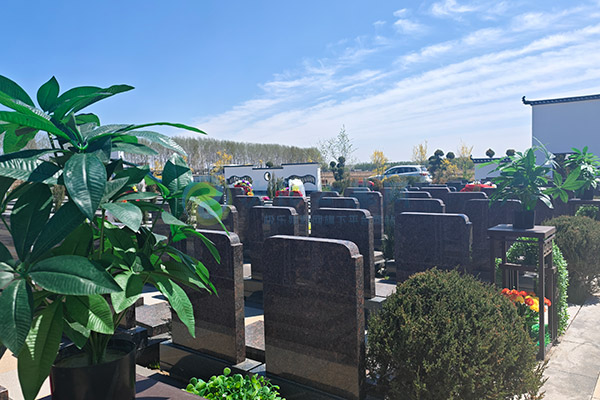 沈阳公墓陵园保险解析:如何为逝者选择保障服务? 沈阳公墓陵园保险解析:如何为逝者选择保障服务?