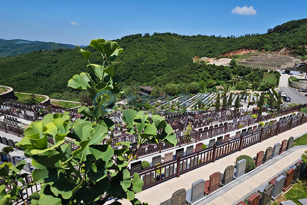 沈阳纪念林墓园生态葬墓地价格一览表：2026树葬福地·节地惠民绿色安息全攻略