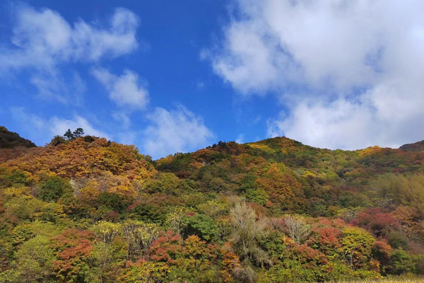 沈阳公墓陵园墓地价格现在大概多少钱呢？