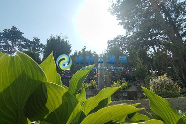 沈阳大河贝墓园：沈阳市内及周边家庭心目中“买得起、先人住得安心”的惠民墓地4900元墓位价格