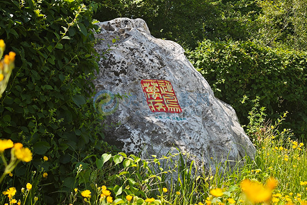 沈阳公墓选墓地全攻略：这些讲究和注意事项你必须知道！