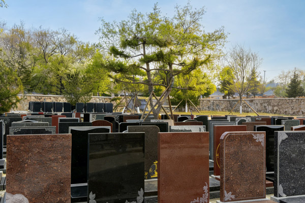 沈阳陵园墓地价格一览表:2026清明特惠活动全攻略,提前规划让思念更有温度 沈阳陵园墓地价格一览表:2026清明特惠活动全攻略,提前规划让思念更有温度