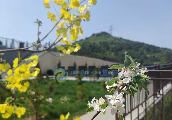 沈阳盘龙福地墓园电话 沈阳盘龙福地墓园电话