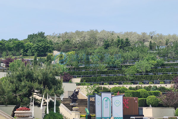 2026沈阳墓园选购干货指南:沈北合规陵园对比,工薪家庭高经济性墓园推荐!.jpg 2026沈阳墓园选购干货指南:沈北合规陵园对比,工薪家庭高经济性墓园推荐!.jpg
